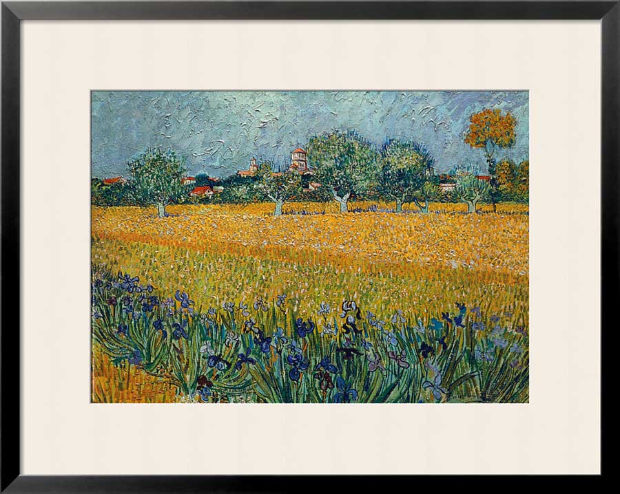 Field Of Flowers Near Arles By Vincent Van Gogh
